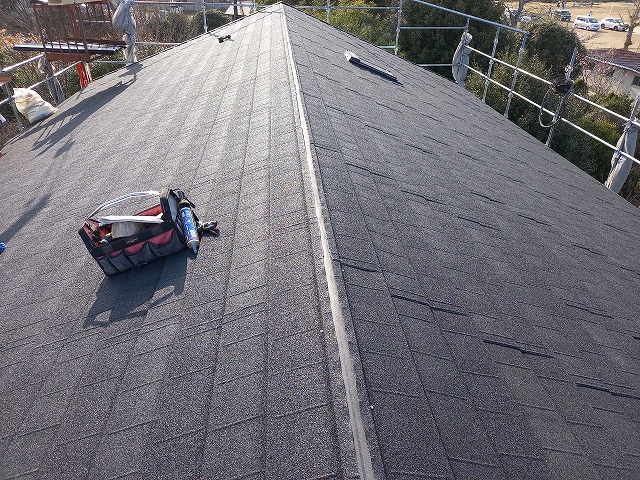 ディプロマットスターの屋根